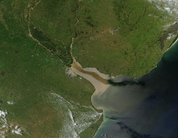 Los delfines del Río de la Plata se alimentan de basura