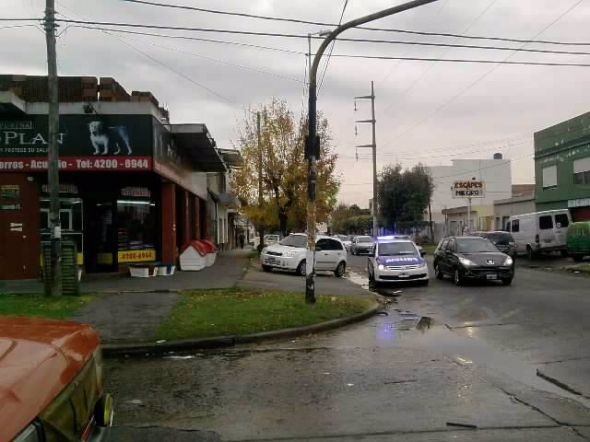 Provocaron un tiroteo por robarse un caniche toy
