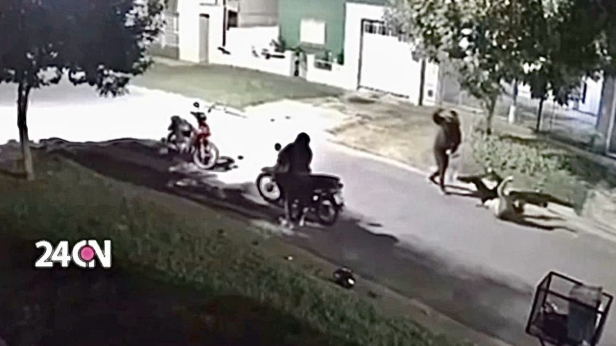 Motochorros salvajes: lo molieron a golpes con un fierro para robarle la moto