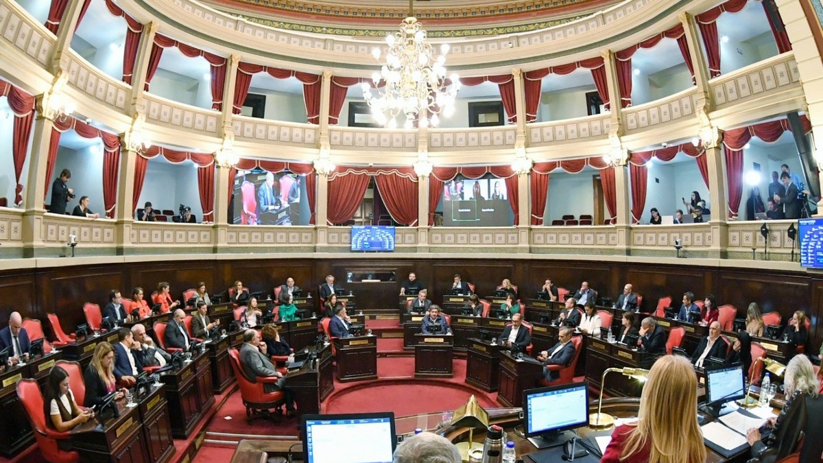 Festejo a medias para Kicillof: El Senado bonaerense aprobó la suspensión de las PASO pero con cambios