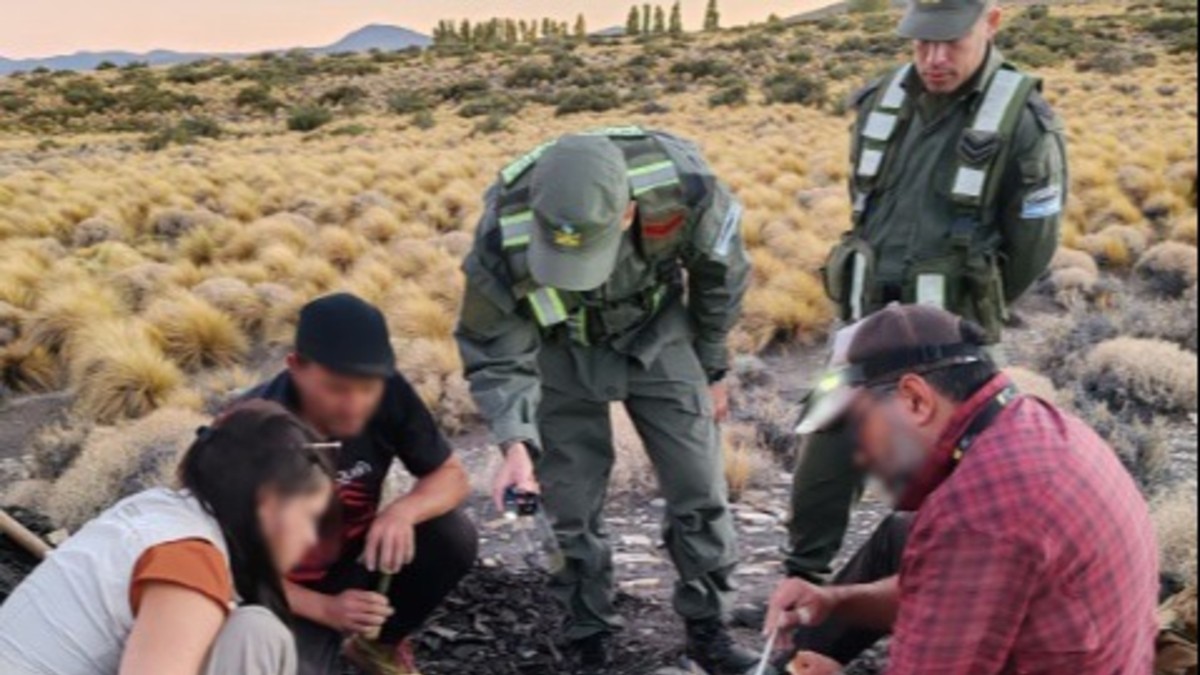 Encontraron restos fósiles de un reptil marino prehistórico