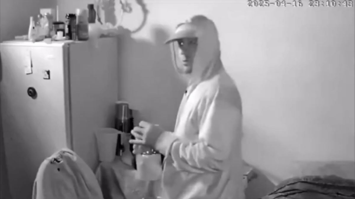 Entró a robar en una casa, se relajó y hasta se tomó la gaseosa que estaba en la heladera