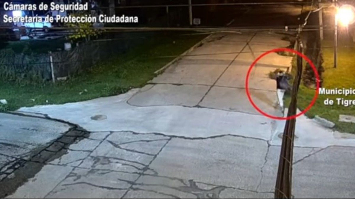 No respetó ni el duelo por la muerte del Papa: robó en una Iglesia y lo detuvieron
