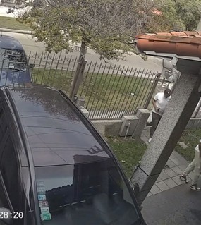 Eran cuatro en dos autos y tenían un dato clave: el perro evitó el robo a una casa