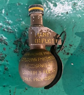 Se conocieron detalles impactantes sobre la toma de rehén en el tren Roca  