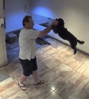 Golpeó a su perro en el hall del edificio y lo tiró contra el piso para lastimarlo