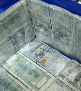 Un pasajero boliviano llevaba USD 175.000 en una heladerita y lo descubrieron 