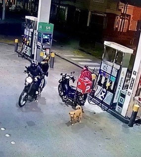 Un delivery se defendió a los tiros de un robo en una estación de servicio y baleó a un motochorro