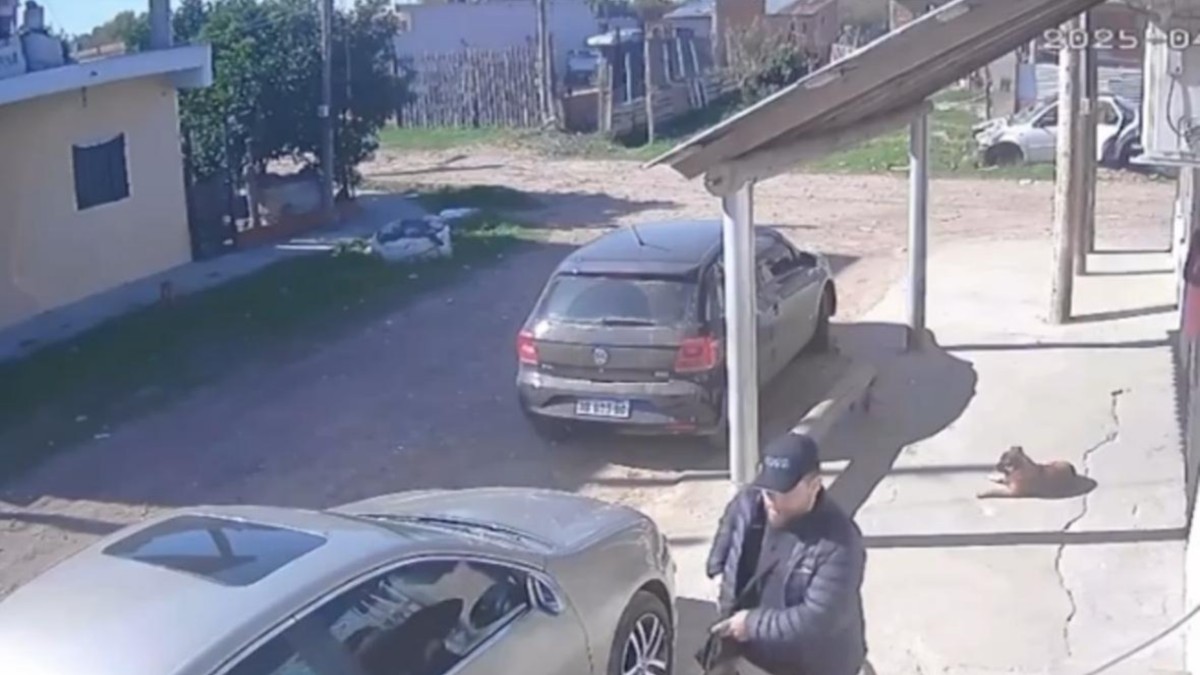 Intentaron robar en una carnicería pero como no les abrieron la puerta asaltaron a los clientes que estaban en la vereda 