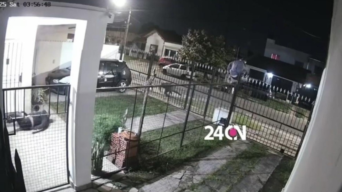 Ladrones “oxidados”, fuera de forma y con una huida que no ensayaron: se pegaron un golpazo tras una entradera y detuvieron a “los improvisados” Ladrones “oxidados”, fuera de forma y con una huida que no ensayaron: se pegaron un golpazo tras una entradera y detuvieron a “los improvisados”