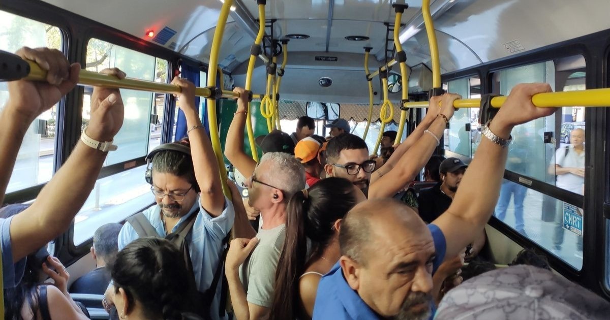 Los colectivos en la Provincia de Buenos Aires aumentaron un 11,6% y el ...