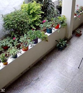 Saltaron la reja para robarle a una jubilada en su casa y cayeron por los tatuajes 