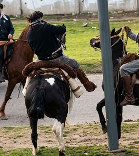 Dos gauchos se pelearon a rebencazos en pleno desfile por los festejos del 25 de Mayo 