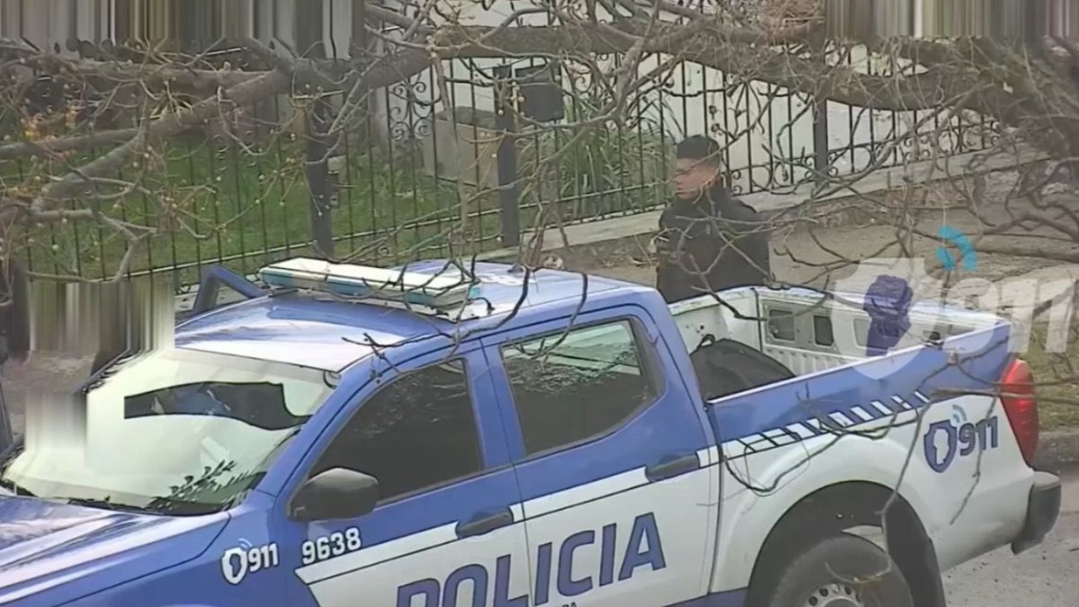 Dos delincuentes, de 23 y 41 años, fueron sorprendidos mientrabas robaban un domicilio: se llevaban una cortina