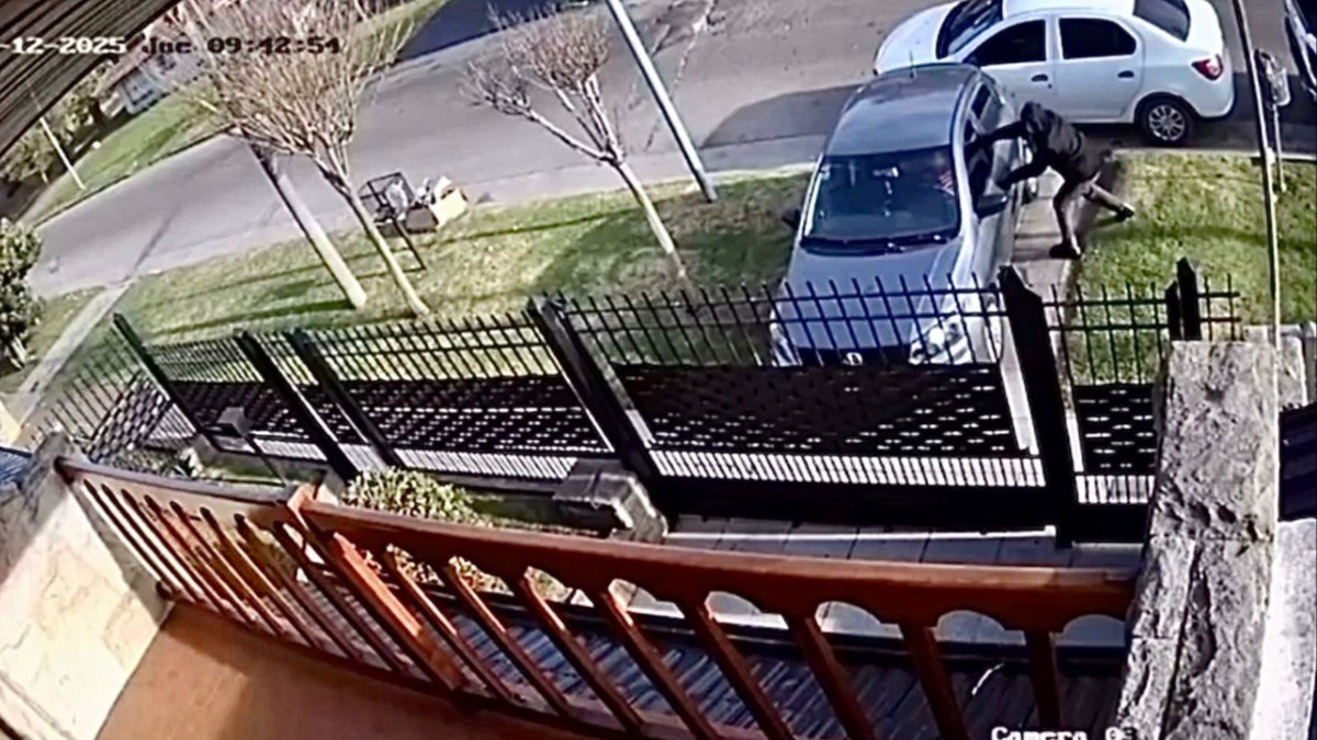 La salvó el cierre centralizado: una mujer entró en pánico mientras era asaltada, se aferró al volante y la puerta nunca se abrió La salvó el cierre centralizado: una mujer entró en pánico mientras era asaltada, se aferró al volante y la puerta nunca se abrió