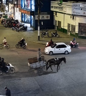 Un caballo cayó desplomado en la calle: estaba desnutrido, sufría maltratos y tiraba de un carro