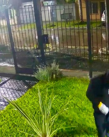Despertar con un arma en la cabeza: “especialistas” en entraderas asaltaron a más de 20 familias
