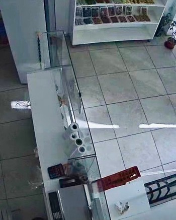 "Bicichorro” rompió la puerta de una panadería y robó desde la recaudación hasta mercadería