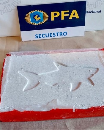 Una mujer policía cumplía un rol clave en una banda narco: secuestraron 37 kilos de cocaína