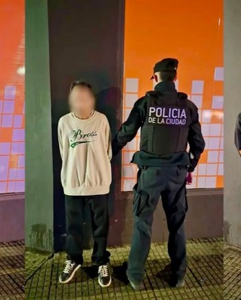 Treparon por el balcón para robar un departamento y los vio una vecina: cayeron los "hombres araña" 