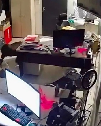 Con sogas y una sábana, boqueteros entraron a un comercio por el techo y robaron dos cajas fuertes 