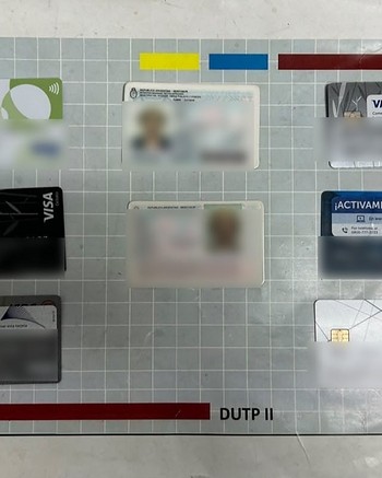 Dos menores de 16 y 17 años robaron un auto y tiraron la patente a la basura