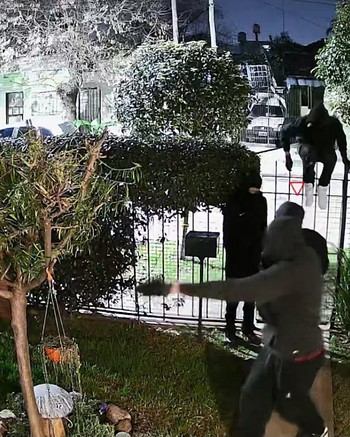Vestidos como “ninjas”, 7 ladrones estaban a punto de hacer una entradera y ocurrió algo inesperado