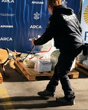 Sacaron de una bóveda 516 kilos de cocaína y los trasladaron en una cápsula de seguridad 