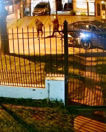 “¿Por qué te metés con mi marido?": le cruzó el auto a la amante de su esposo y se agarraron a piñas   
