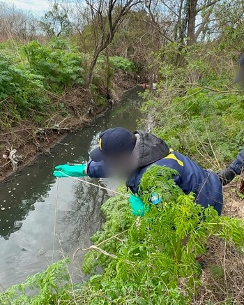 Quemaban residuos peligrosos en un basural a cielo abierto y secuestraron casi 100 historias clínicas