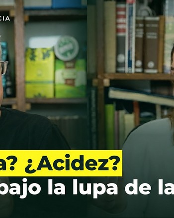 “Tomar mate todos los días nos protege del Parkinson”: investigadores revelaron los mitos y verdades sobre el consumo de la clásica infusión