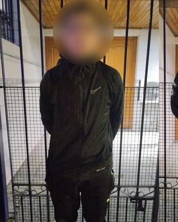 Tienen 15 antecedentes, se burlaban de las víctimas y cayeron cuando quisieron robar en una casa