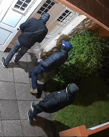 Clonaron el control remoto para entrar por el garaje a la casa de un jubilado y robaron de todo