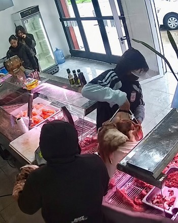 Entraron a los tiros a una carnicería, robaron $200 mil y carne en baldes: se fueron disparando