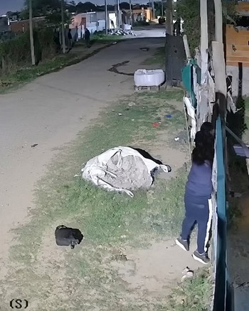 Asaltaron un taller de celulares y dispararon a matar: balearon al padre, su hijo se salvó