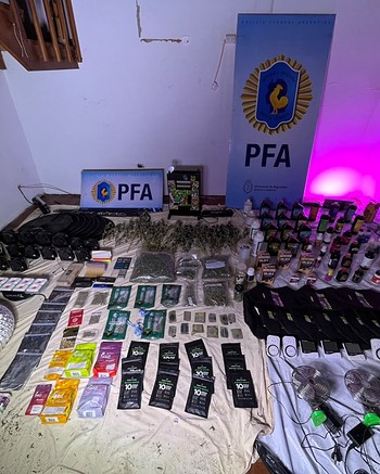 Ventiladores, luces LED las 24 horas y 35 plantas de marihuana: armaron un “indoor” en la casa