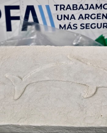 Manejaba una banda narco con tobillera electrónica:&nbsp;tenía dos kilos de cocaína, ketamina y tusi