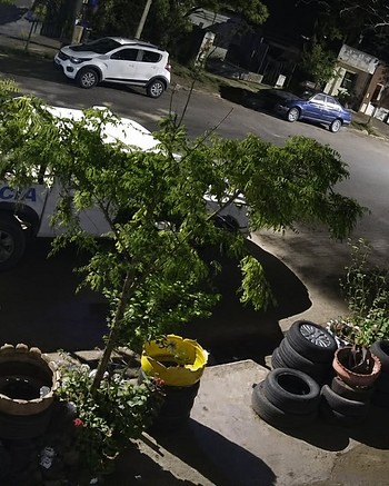“Este no trabaja más”: dos policías le robaron un criquet valuado en 3 millones de pesos a un gomero
