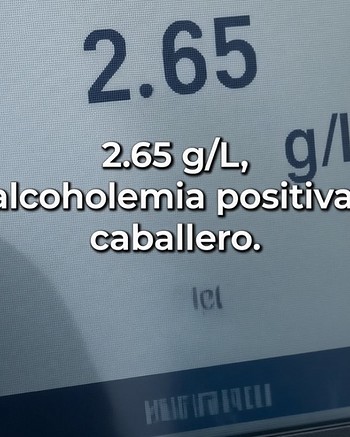 “¿Me van a hacer pedazos?”: un camionero manejó de Corrientes a Buenos Aires con 2,65 de alcohol 