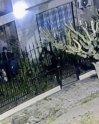 La madre y su hija se despertaron con un arma en la cabeza: les robaron de todo